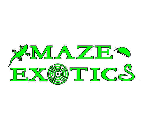 MAZE Exotics